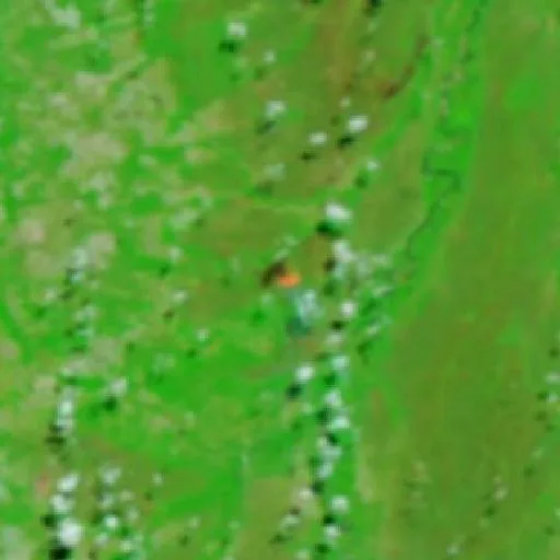 Wildfire near Novo Santo Antônio (Aug 5) — NASA satellite