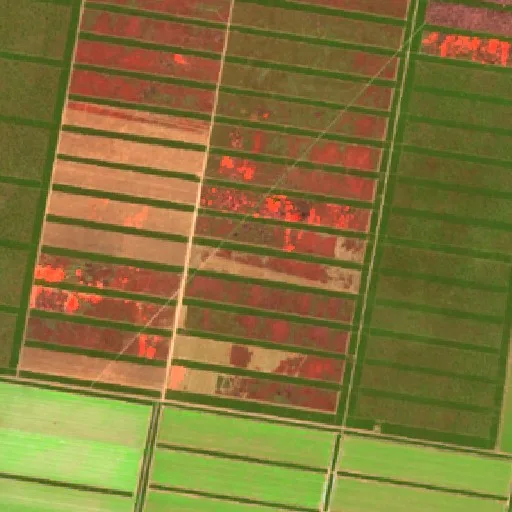 Incendio cerca de Nueva Esperanza (26 ago) — Sentinel-2 SWIR (fuego)