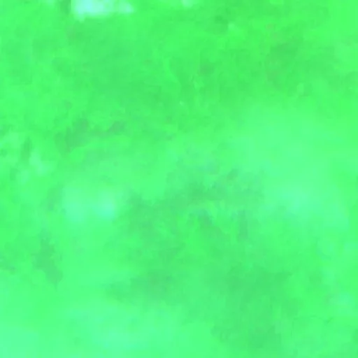 Wildfire near Nuevo Vicente Guerrero — Sentinel-2 SWIR (fuego)