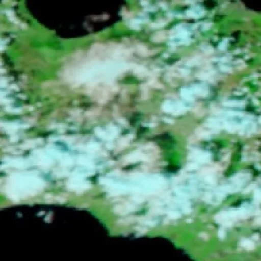 Wildfire near Nuovo Centro Urbano Poggioreale — NASA satellite