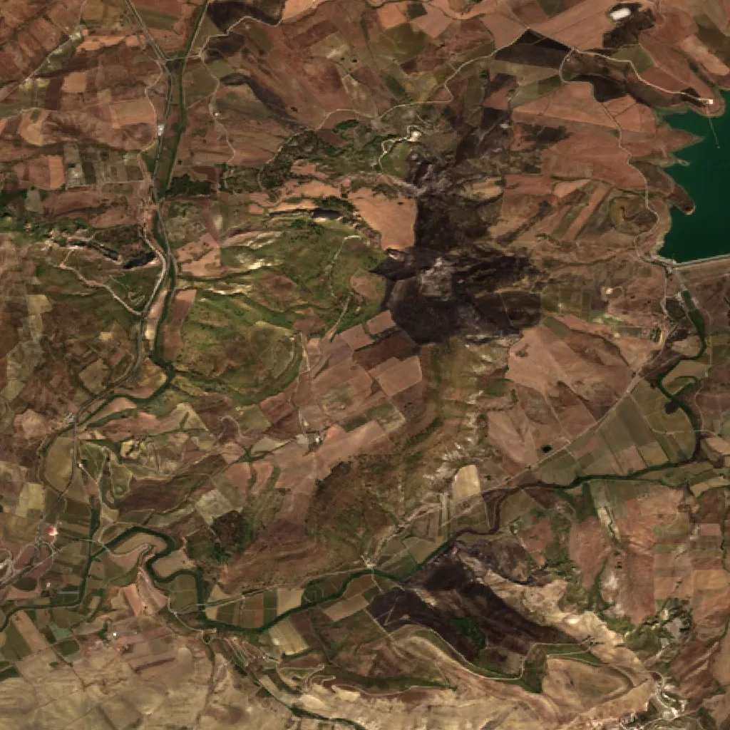 Wildfire near Nuovo Centro Urbano Poggioreale — Sentinel-2 true color