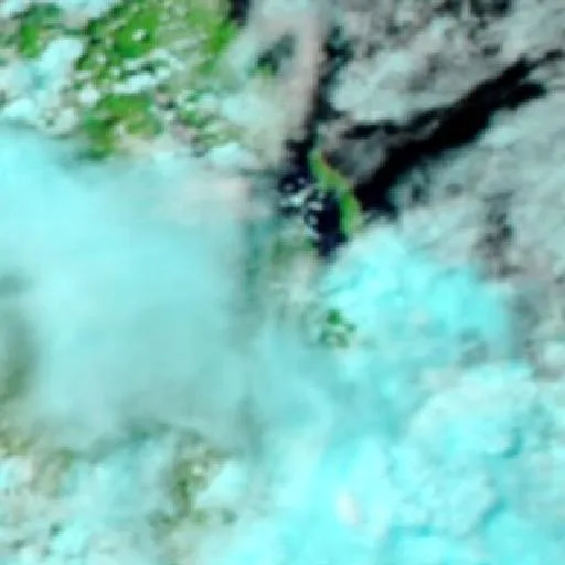 Oconnell Bushfire — NASA satellite