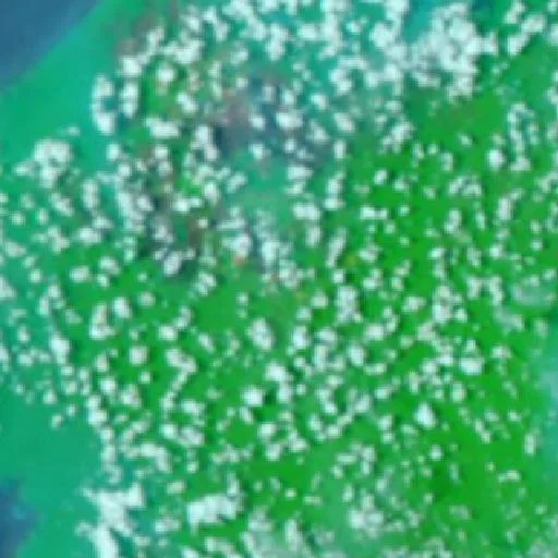 Wildfire near Onimsari (Oct 2) — NASA satellite