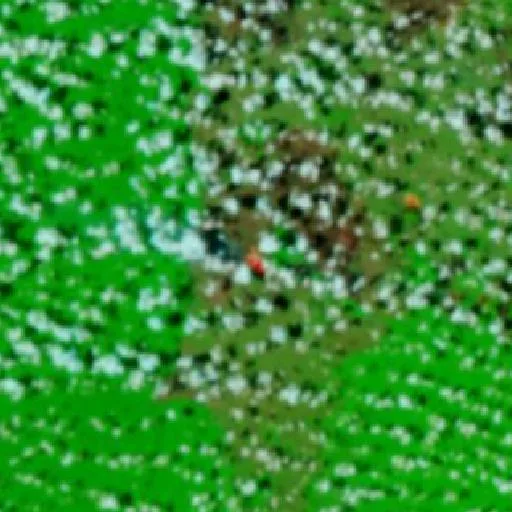 Wildfire near Oriximiná (Oct 6) — NASA satellite