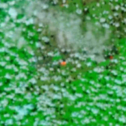 Wildfire near Oriximiná (Oct 23) — NASA satellite
