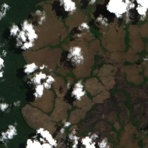 Wildfire near Oriximiná — Sentinel-2 true color