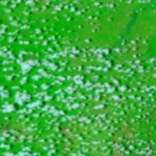 Incendio cerca de Othón P. Blanco — NASA satellite