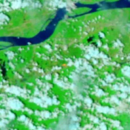 Wildfire near Ouara — NASA satellite