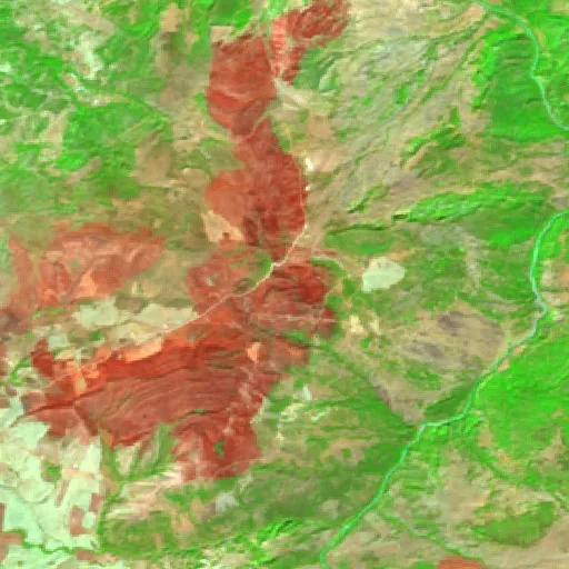 Wildfire near Oued Zenati — Sentinel-2 SWIR (fuego)