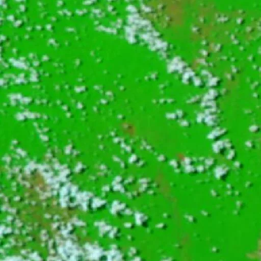Incendio cerca de Ourilândia do Norte (26 ago) — NASA satellite