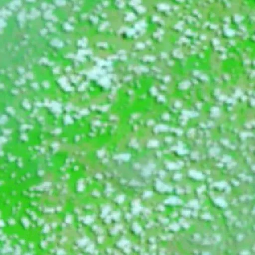 Wildfire near Pacajá (Sep 30) — NASA satellite
