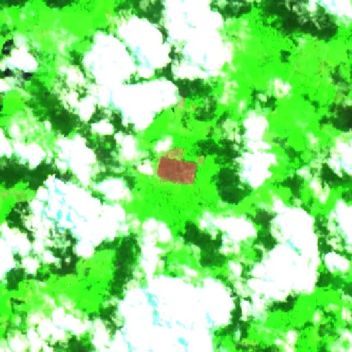Incendio cerca de Pacajá — Sentinel-2 SWIR (fuego)