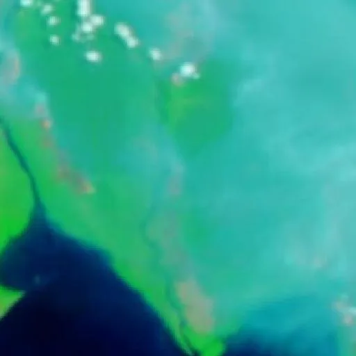 Incendio cerca de Pagatan (20 sep) — NASA satellite