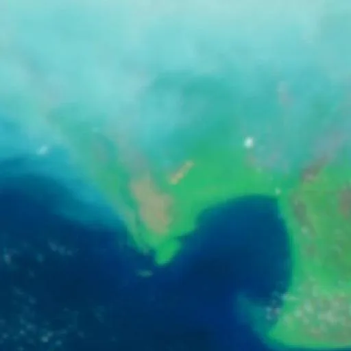 Wildfire near Pagatan (Oct 12) — NASA satellite