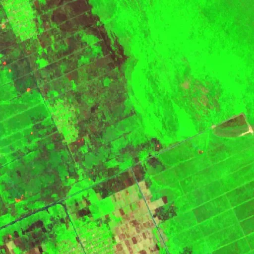 Wildfire near Pagatan — Sentinel-2 SWIR (fuego)