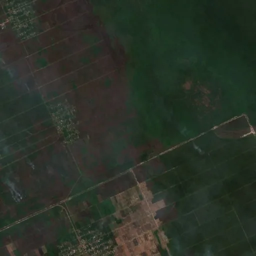 Wildfire near Pagatan — Sentinel-2 true color