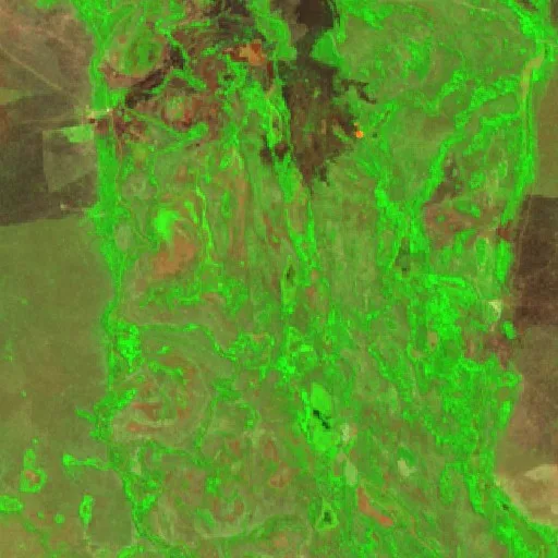 Wildfire near Paind do Araguaia — Sentinel-2 SWIR