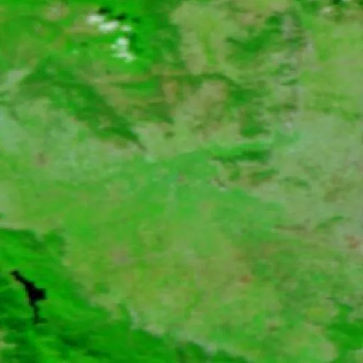 Incendio cerca de Palamás — NASA satellite
