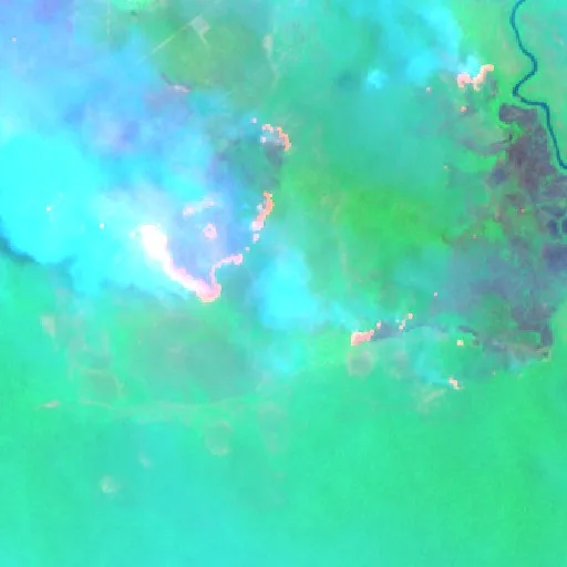 Wildfire near Palangkaraya (Oct 1 · NE) — Sentinel-2 SWIR (fuego)