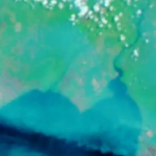 Wildfire near Pangkalanbuun — NASA satellite
