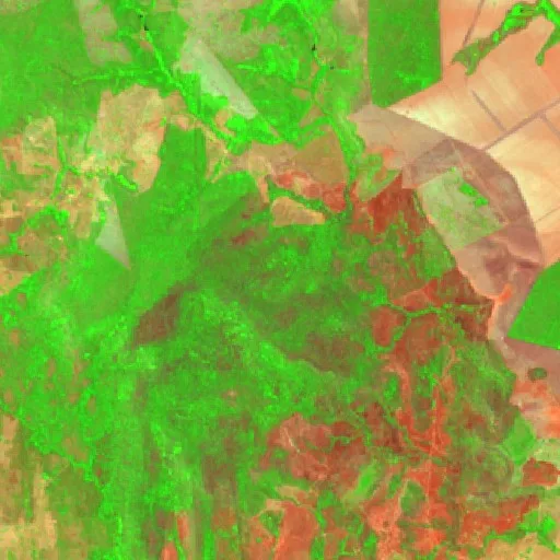 Incendio cerca de Paraíso do Tocantins — Sentinel-2 SWIR (fuego)