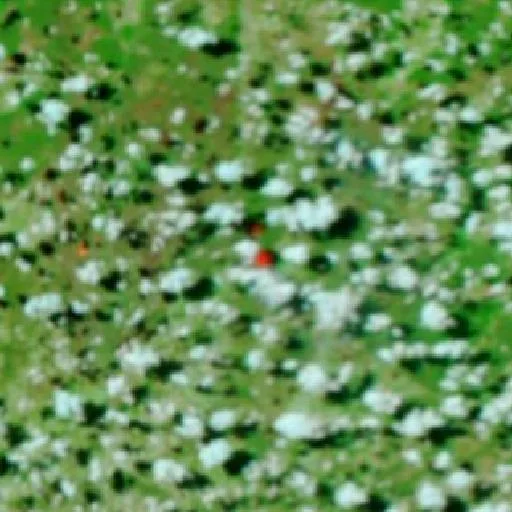 Incendio cerca de Paranatinga (8 ago) — NASA satellite