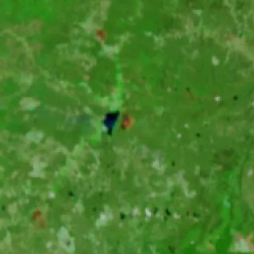 Wildfire near Parnaguá — NASA satellite