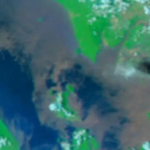 Wildfire near Pasirpanjang — NASA satellite