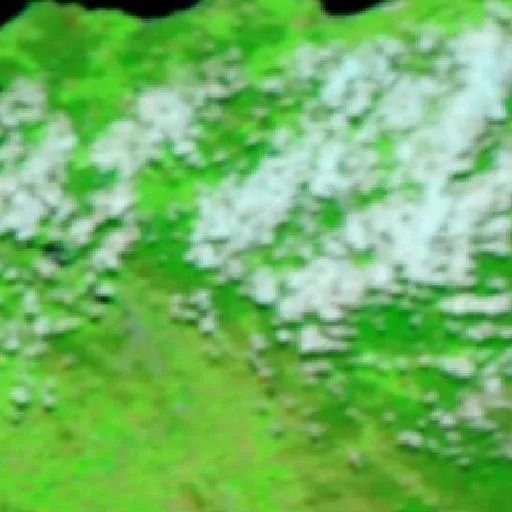 Patersonia Bushfire — NASA satellite