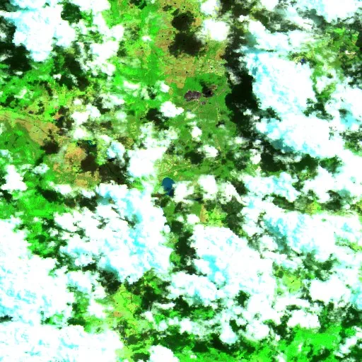 Paxton Bushfire — Sentinel-2 SWIR (fuego)