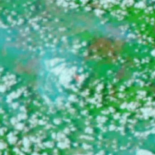 Incendio cerca de Pedamaran — NASA satellite