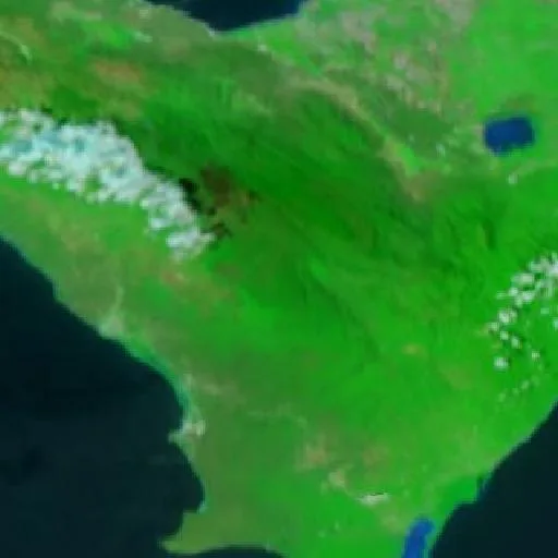 Wildfire near Pedernales — NASA satellite