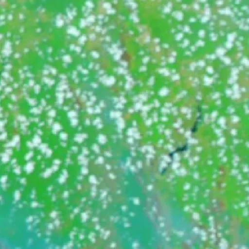 Wildfire near Pembuanghulu (Oct 2) — NASA satellite
