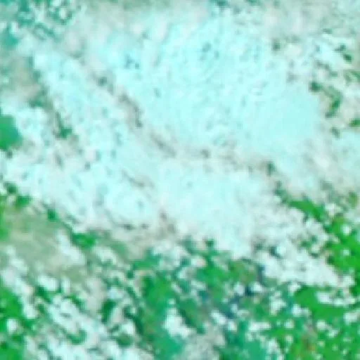Wildfire near Pembuanghulu — NASA satellite