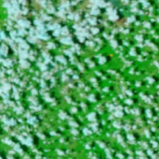 Incendio cerca de Peritoró — NASA satellite
