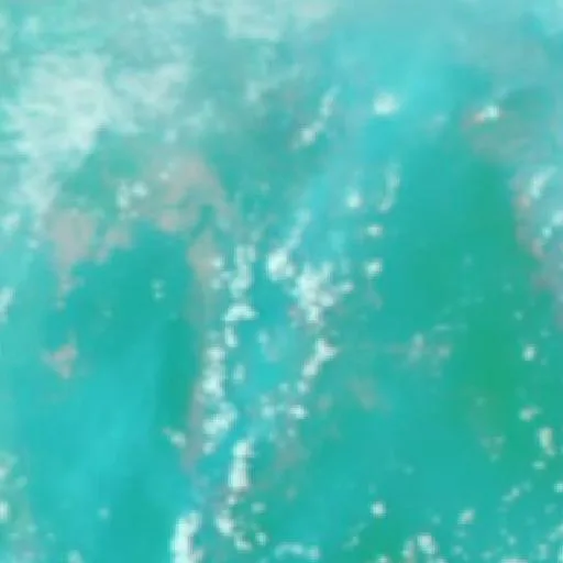 Wildfire near Petakbehandang (Oct 8 · SW #2) — NASA satellite