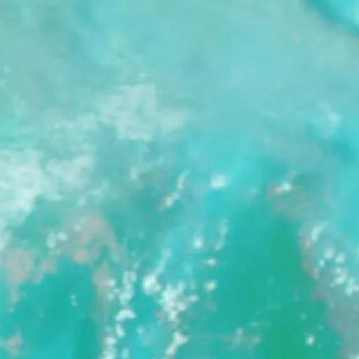 Wildfire near Petakbehandang (Oct 8 · N) — NASA satellite