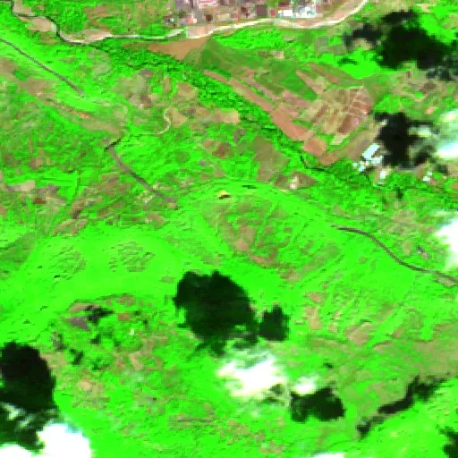 Wildfire near Petina — Sentinel-2 SWIR (fuego)