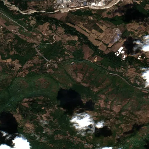 Wildfire near Petina — Sentinel-2 true color