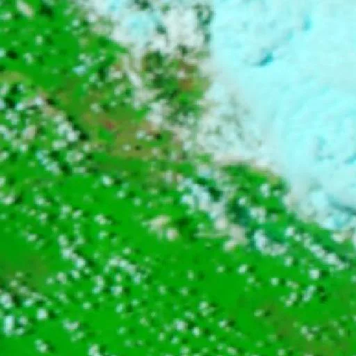 Wildfire near Pimenteiras do Oeste — NASA satellite