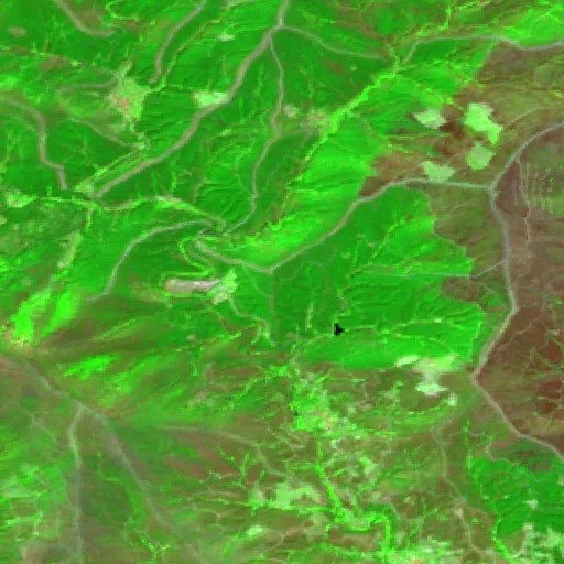 Incendio cerca de Pinofranqueado — Sentinel-2 SWIR (fuego)