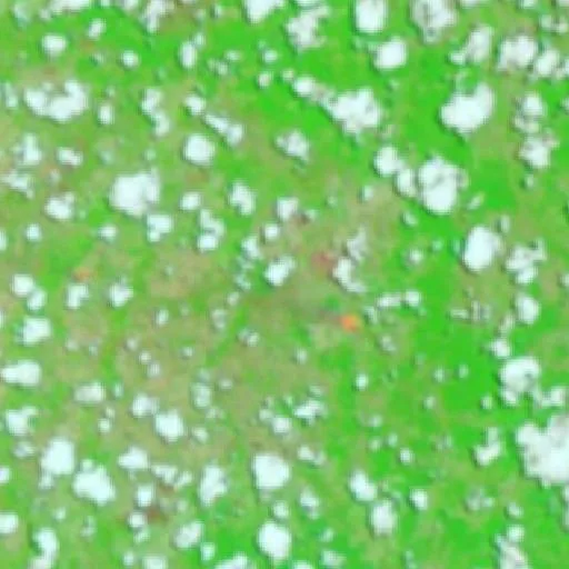 Wildfire near Pirapemas (Oct 7) — NASA satellite