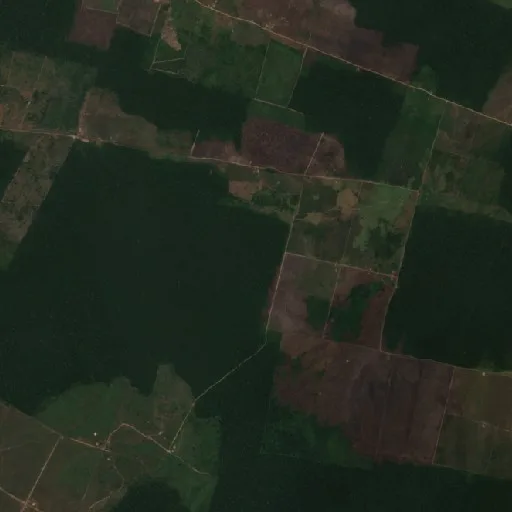 Incendio cerca de Pirapetinga (3 sep) — Sentinel-2 true color