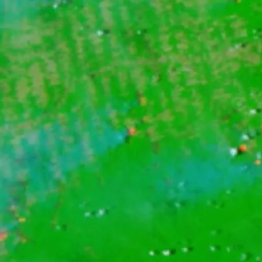Wildfire near Placas (Oct 16 · SW) — NASA satellite