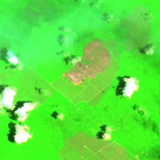 Incendio cerca de Playa del Carmen (10 ago) — Sentinel-2 SWIR (fuego)