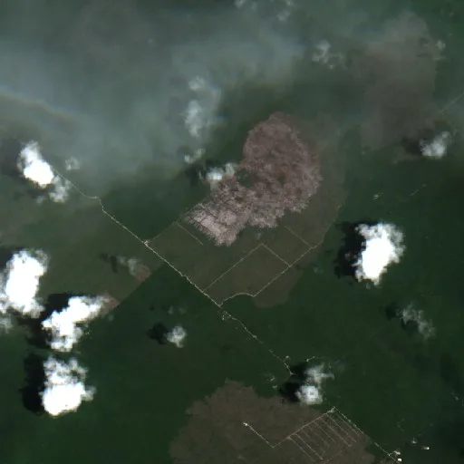 Incendio cerca de Playa del Carmen (10 ago) — Sentinel-2 true color