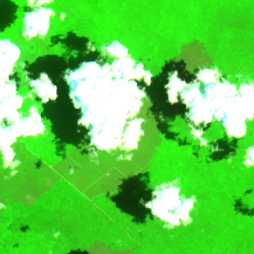 Wildfire near Playa del Carmen — Sentinel-2 SWIR (fuego)