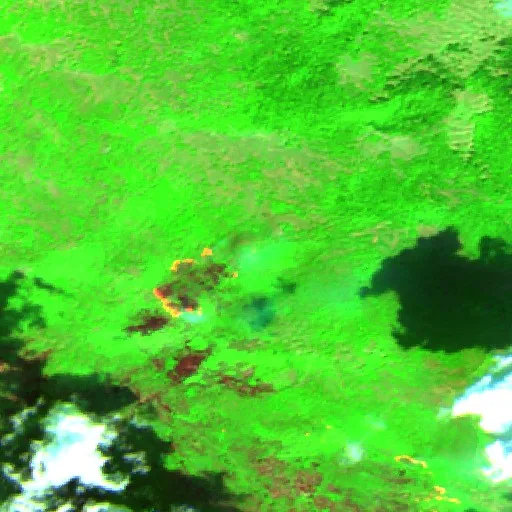 Wildfire near Plužine — Sentinel-2 SWIR (fuego)