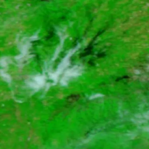 Wildfire near Poiares — NASA satellite