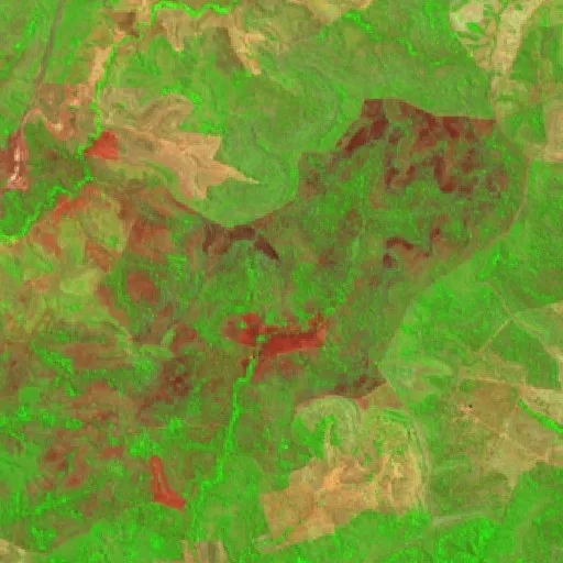 Incendio cerca de Ponte Alta do Tocantins (23 ago) — Sentinel-2 SWIR (fuego)